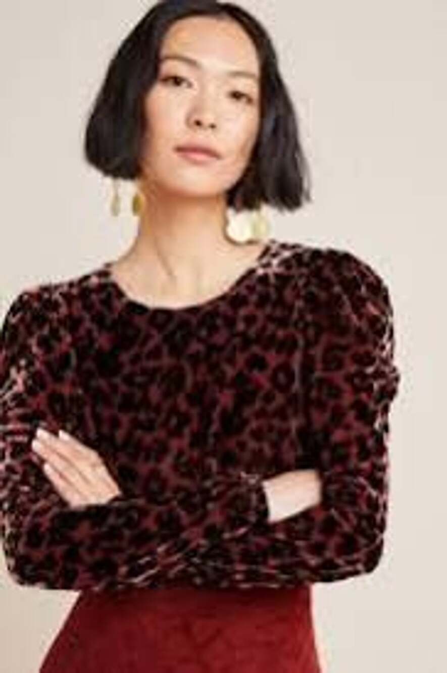 Dolan Charley Velvet Top Size M Leopard Print Puff Sleeve
